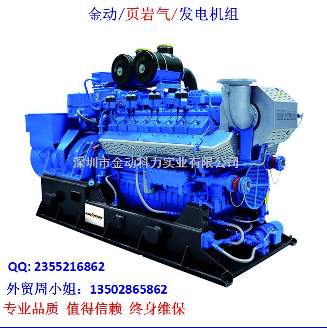 【深圳頁巖氣發電機】 發展趨勢無懈可擋!