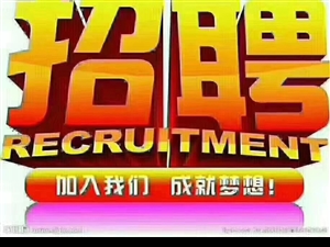 寧晉縣最新招聘信息大全，職場新機(jī)遇門戶（寧晉縣招聘熱點(diǎn)）