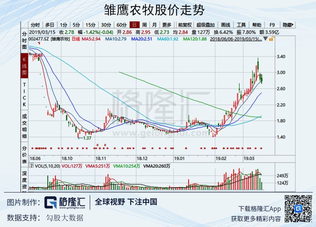雛鷹農(nóng)牧股票最新動(dòng)態(tài)全面解析