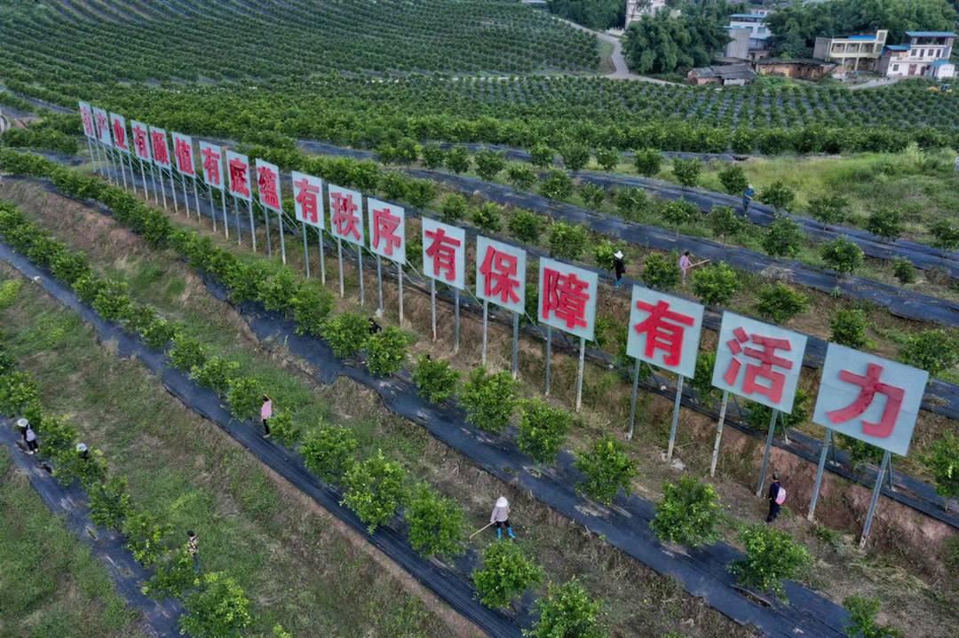 四川仁壽縣最新規(guī)劃藍(lán)圖，塑造未來(lái)城市新面貌