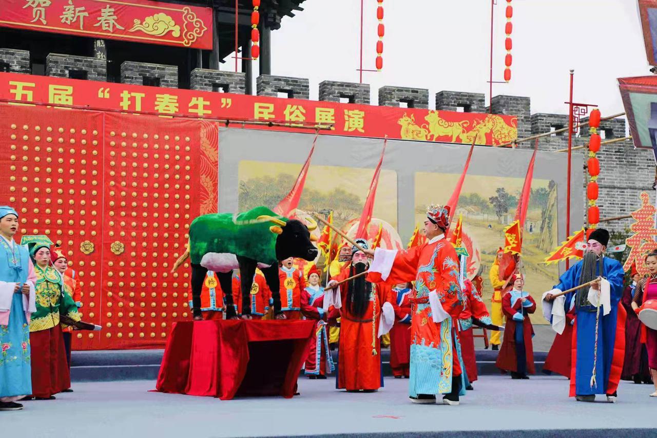 蘇北直播之旅，探尋未知互動世界的奧秘