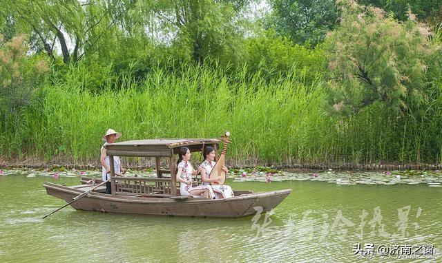 濟(jì)西濕地公園最新動態(tài)，生態(tài)建設(shè)的綠色進(jìn)展
