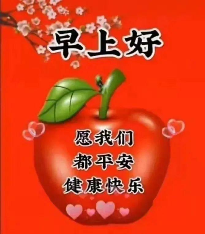 蘋果最新版本深度體驗(yàn)與評估，優(yōu)缺點(diǎn)一覽